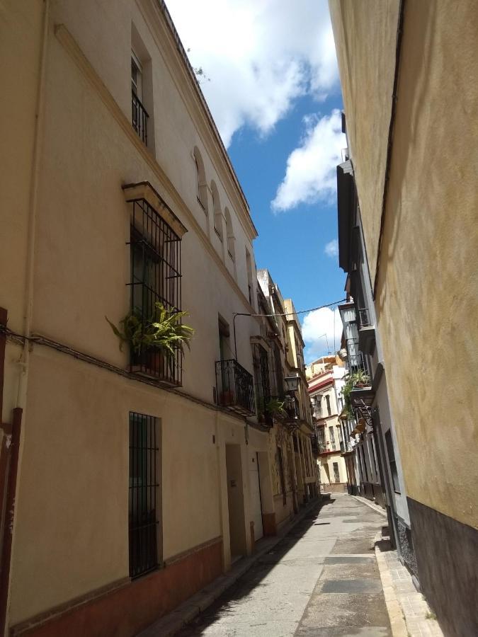 סביליה Apartamento "Detras De La Palma" מראה חיצוני תמונה